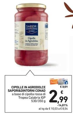 Offerta per Conad - Sapori&Dintorni Cipolle In Agrodolce a 2,99€ in Conad Superstore