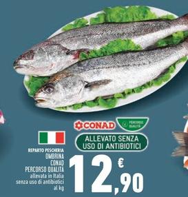 Offerta per Conad - Ombrina Percorso Qualità a 12,9€ in Conad Superstore