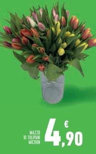 Offerta per Mazzo 10 Tulipani Micron a 4,9€ in Conad Superstore