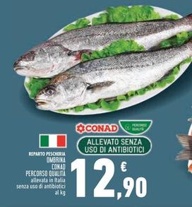 Offerta per  Conad - Ombrina Percorso Qualità  a 12,9€ in Conad Superstore