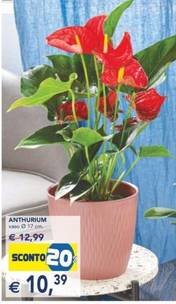 Offerta per Anthurium a 10,39€ in Esselunga