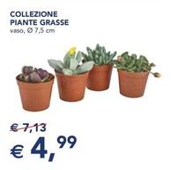 Offerta per Collezione Piante Grasse a 4,99€ in Esselunga