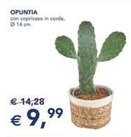 Offerta per Opuntia a 9,99€ in Esselunga