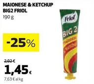 Offerta per Friol - Maionese & Ketchup Big2 a 1,45€ in Coop