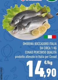 Offerta per Conad - Ombrina Boccadoro Italia Da Circa 1 Kg Percorso Qualità a 14,9€ in Conad