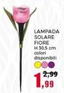 Offerta per Lampada Solare Fiore a 1,99€ in Happy Casa Store