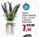 Offerta per Vaso Con Pianta a 7,99€ in Happy Casa Store