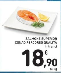 Offerta per Conad - Salmone Superior Percorso Qualita a 18,9€ in Spazio Conad