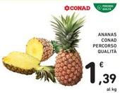 Offerta per Conad - Ananas Percorso Qualità a 1,39€ in Spazio Conad