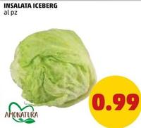 Offerta per Amonatura - Insalata Iceberg a 0,99€ in PENNY
