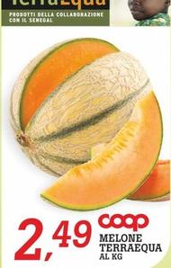 Offerta per Melone Terraequa a 2,49€ in Superstore Coop