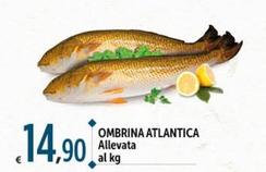 Offerta per Ombrina Atlantica a 14,9€ in Carrefour Ipermercati