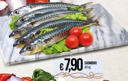 Offerta per Sgombro a 7,9€ in Ipercoop