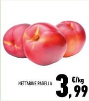 Offerta per Nettarine Padella a 3,99€ in Margherita Conad