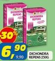 Offerta per Dichondra Repens a 6,9€ in Risparmio Casa