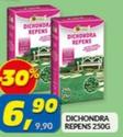 Offerta per Compagnia Sementi - Dichondra Repens a 6,9€ in Risparmio Casa