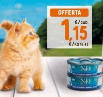 Offerta per Farmina Natural & Delicious - Prime Chicken And Pomegranate Kitten a 1,15€ in Pet Store Conad