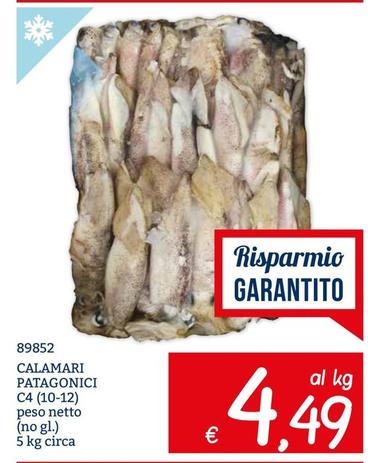 Offerta per Calamari Patagonici a 4,49€ in ZONA
