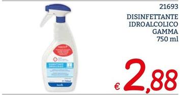 Offerta per Gamma - Disinfettante Idroalcolico a 2,88€ in ZONA