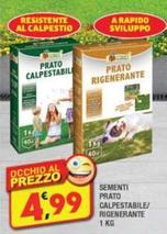 Offerta per Sementi Prato Calpestabile/ Rigenerante a 4,99€ in Maury's