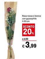 Offerta per  Rosa Rossa O Bianca Con Gypsophila H50 Cm  a 3,99€ in Iper La grande i
