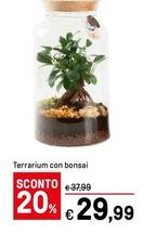 Offerta per Terrarium Con Bonsai a 29,99€ in Iper La grande i
