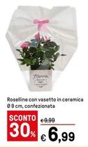 Offerta per Roselline Con Vasetto In Ceramica a 6,99€ in Iper La grande i