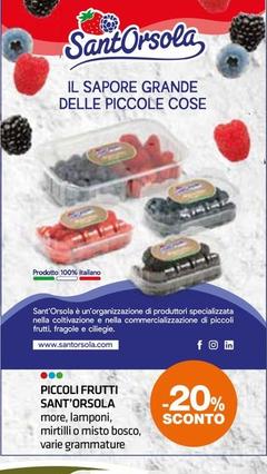 Offerta per Sant'orsola - Piccoli Frutti in Superconti