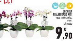 Offerta per Orchidea Phalaenopsis Mini a 9,9€ in Conad
