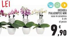 Offerta per Orchidea Phalaenopsis Mini a 9,9€ in Conad