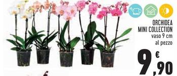 Offerta per Orchidea Mini Collection a 9,9€ in Conad City