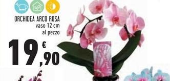 Offerta per Orchidea Arco Rosa a 19,9€ in Conad City