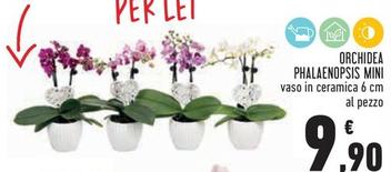Offerta per Orchidea Phalaenopsis Mini a 9,9€ in Conad City