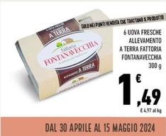 Offerta per Fattoria Fontanavecchia - 6 Uova Fresche Allevamento A Terra a 1,49€ in Conad