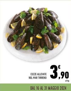 Offerta per Cozze Allevate Nel Mar Tirreno a 3,9€ in Conad Superstore