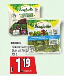 Offerta per Bonduelle - Songino Radicchio a 1,19€ in Superstore Coop