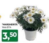 Offerta per Margherita a 3,5€ in Dpiu