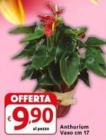 Offerta per  Anthurium Vaso Cm 17  a 9,9€ in Carrefour Market