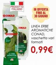 Offerta per Conad - Linea Erbe Aromatiche a 0,99€ in Spazio Conad