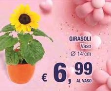 Offerta per Girasoli a 6,99€ in Crai