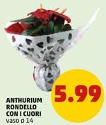 Offerta per Anthurium Rondello Con I Cuori a 5,99€ in PENNY