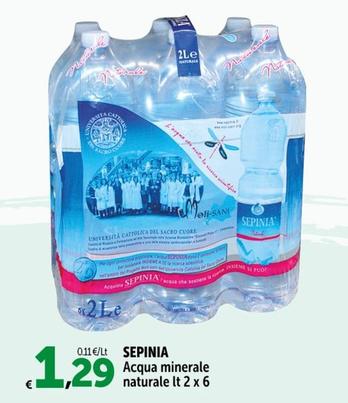 Offerta per Sepinia - Acqua Minerale Naturale a 1,29€ in Carrefour Express