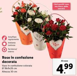 Offerta per Rose In Confezione Decorata a 4,99€ in Lidl