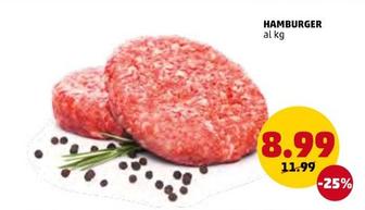 Offerta per Hamburger a 8,99€ in PENNY