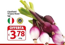 Offerta per Cipollotti Tropea Rossi IGP a 3,78€ in Carrefour Market