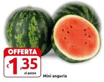 Offerta per Mini Anguria a 1,35€ in Carrefour Market