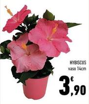 Offerta per Hybiscus a 3,9€ in Conad