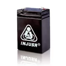 Offerta per Batteria ricaricabile6V-4,5Ah a 27,95€ in EurekaKids