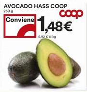 Offerta per Coop - Avocado Hass a 1,48€ in Coop