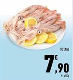 Offerta per Totani a 7,9€ in Conad Superstore